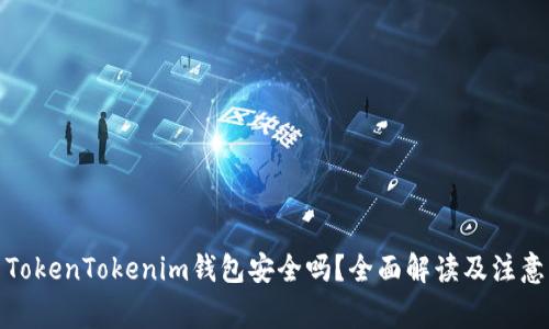 使用TokenTokenim钱包安全吗?全面解读及注意事项