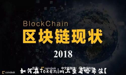 如何在Tokenim上查看哈希值?