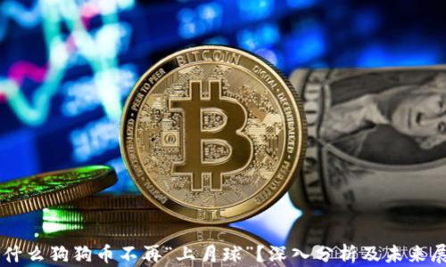 为什么狗狗币不再“上月球”?深入分析及未来展望