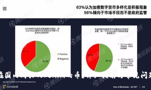 如何在国内购买Tokenim的币?详细指南与常见问题解答