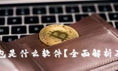 虚拟币钱包是什么软件?全面解析及使用指南