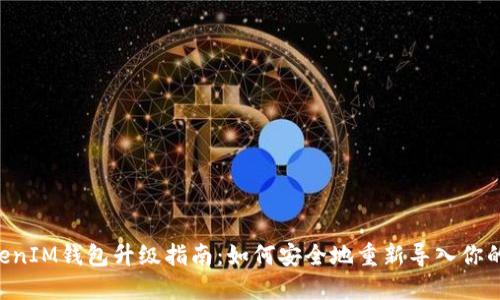 TokenTokenIM钱包升级指南:如何安全地重新导入你的数字资产