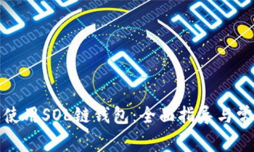 如何下载和使用SOL链钱包:全面指导与常见问题解答