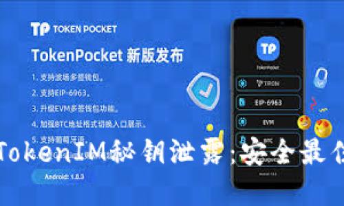 如何防止TokenIM秘钥泄露:安全最佳实践指南
