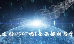 Ledger钱包支持USDT吗?全面解析与常见问题解答