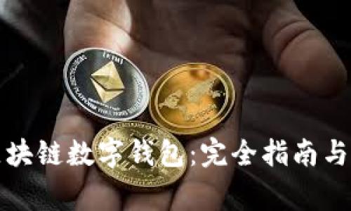 常用的区块链数字钱包:完全指南与选择技巧
