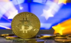 在这里,我们可以构思一个关于Tokenim支持多钱包