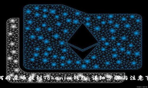 如何将屎币提到Tokenim钱包:详细步骤与注意事项