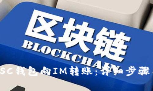 如何使用BSC钱包向IM转账:详细步骤与注意事项