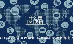 988pay出币风控解析:如何安全管理数字资产