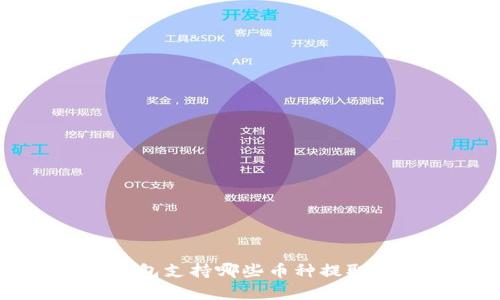 TokenTokenIM钱包支持哪些币种提取?全面解析与指南