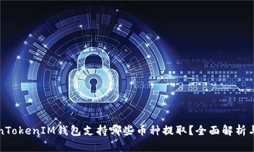 TokenTokenIM钱包支持哪些币种提取?全面解析与指南