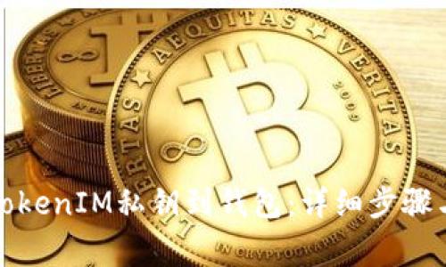 如何导入TokenIM私钥到钱包:详细步骤与注意事项