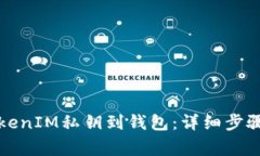 如何导入TokenIM私钥到钱包:详细步骤与注意事项