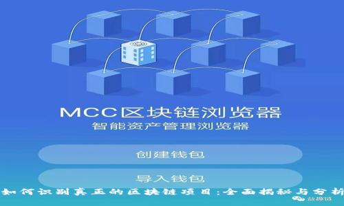 如何识别真正的区块链项目:全面揭秘与分析