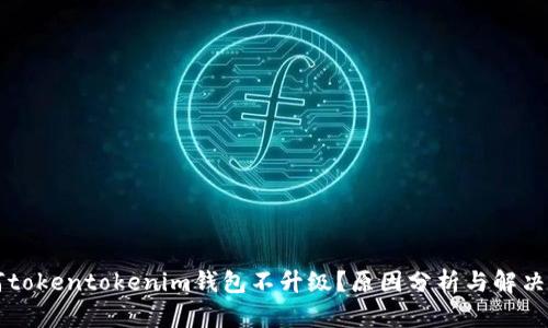 为何tokentokenim钱包不升级?原因分析与解决方案