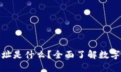 数字货币钱包地址是什么?全面了解数字货币的