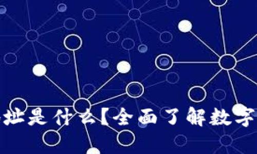 数字货币钱包地址是什么?全面了解数字货币的资产管理