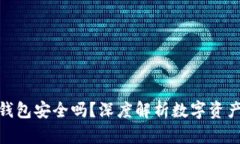 数字资产钱包安全吗?深度解析数字资产的安全
