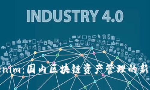 Tokenim:国内区块链资产管理的新选择