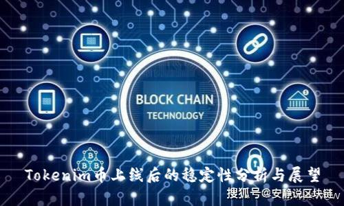 Tokenim币上线后的稳定性分析与展望