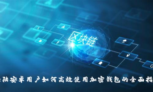 大陆安卓用户如何高效使用加密钱包的全面指南