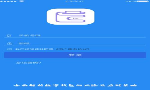 全面解析数字钱包的风险及应对策略