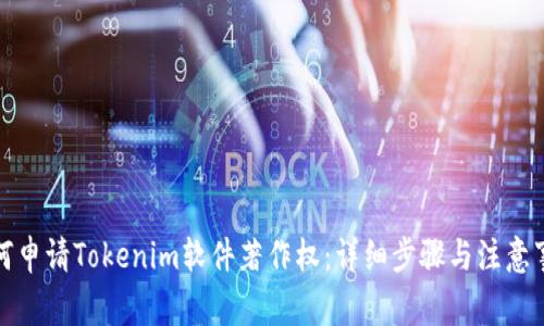 如何申请Tokenim软件著作权:详细步骤与注意事项