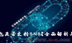 比特派钱包是否支持BNB?全面解析与使用指南