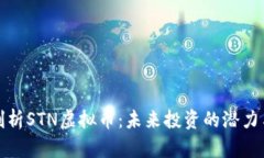 深入剖析STN虚拟币:未来投资的潜力与风险