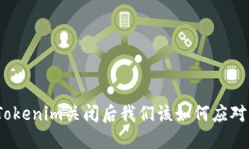 Tokenim关闭后我们该如何应对?