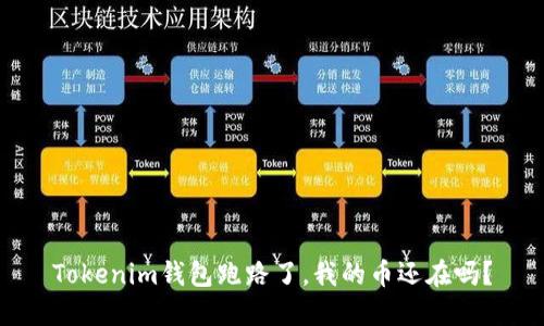 Tokenim钱包跑路了,我的币还在吗?