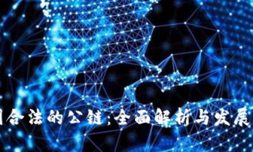 中国合法的公链:全面解析与发展前景