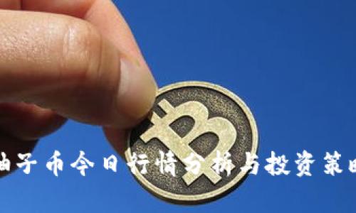 柚子币今日行情分析与投资策略
