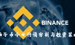 柚子币今日行情分析与投资策略