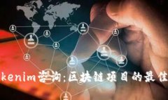 深入了解Tokenim咨询:区块链项目的最佳指导与服