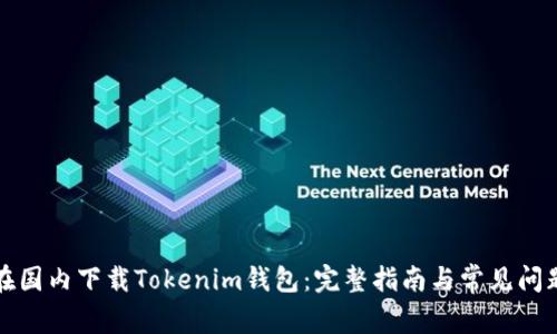 如何在国内下载Tokenim钱包:完整指南与常见问题解答