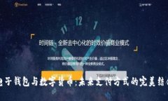 电子钱包与数字货币:未来支付方式的完美结合