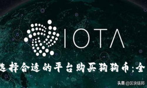 如何选择合适的平台购买狗狗币:全面指南