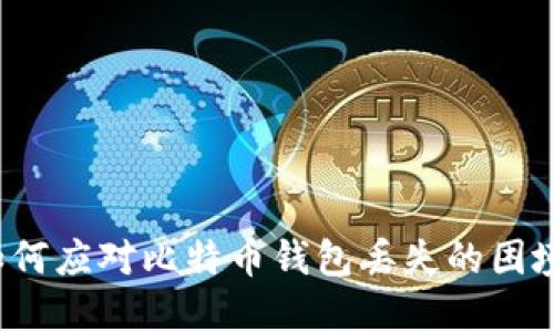 如何应对比特币钱包丢失的困境?