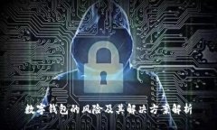 数字钱包的风险及其解决方案解析