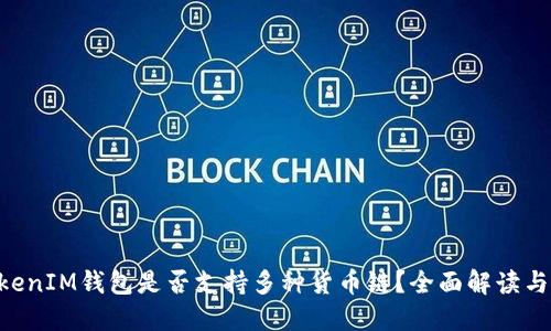 TokenTokenIM钱包是否支持多种货币链?全面解读与使用指南