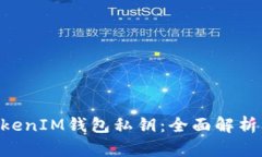 什么是TokenTokenIM钱包私钥:全面解析及安全使用