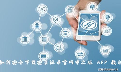 如何安全下载安装派币官网中文版 APP 教程
