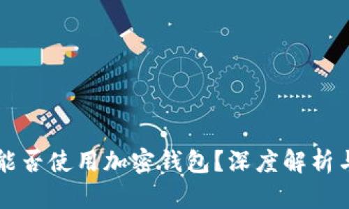 中国用户能否使用加密钱包?深度解析与使用指南