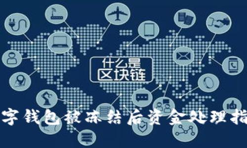 数字钱包被冻结后资金处理指南