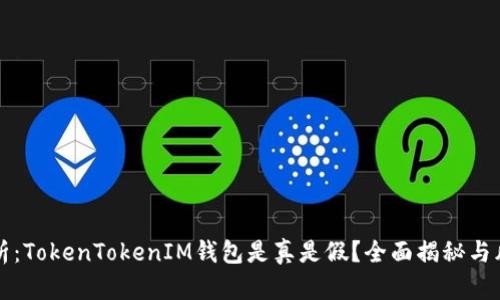 深入分析:TokenTokenIM钱包是真是假?全面揭秘与风险防范