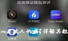 ### Tokenim是坑人的吗?详解其投资风险与机会