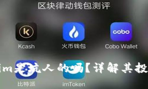 ### Tokenim是坑人的吗?详解其投资风险与机会