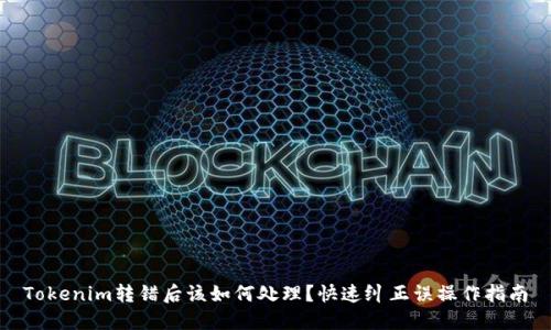 Tokenim转错后该如何处理?快速纠正误操作指南